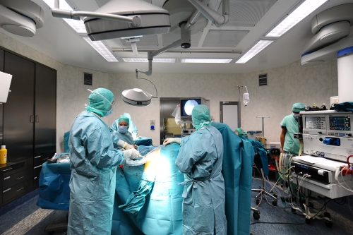 La chirurgia di rivascolarizzazione delle arterie tibiali - Corso teorico-pratico