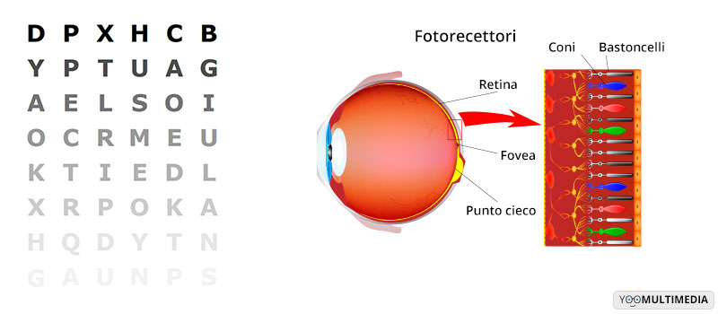 Test di sensibilita al contrasto Poliambulanza