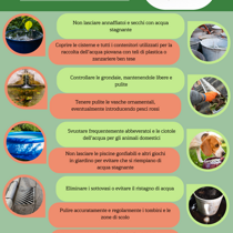 Zanzare e arbovirosi: le raccomandazioni di ATS Brescia per la prevenzione