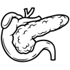 Tumori endocrini del pancreas