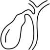 Carcinoma della colecisti