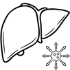 Metastasi epatiche