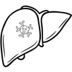 Tumore del fegato